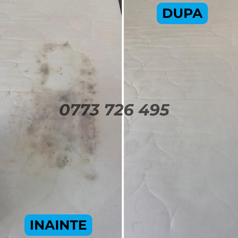 Curatare tapiterie Bucuresti, canapele, saltele, auto